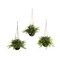 Nearly Natural Eucalyptus, Maiden Hair and Berry Hanging Basket - Set of 3